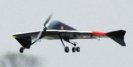 Albatross: Flying Wing Small UAV