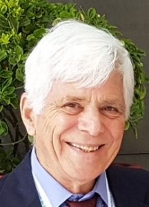 Prof. Emeritus Alon Gany