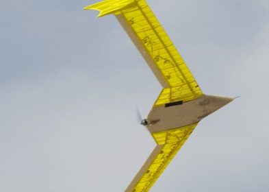 Maiden Flight of the All 3D-printed Active Aeroelastic Aircraft Testbed